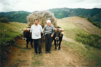 Çoraklı