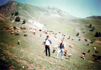 Çoraklı