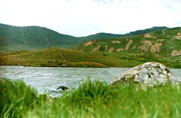 Aggöl /Agustos 2001