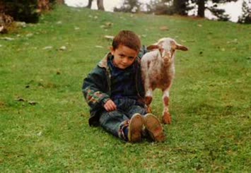 mesut kaya