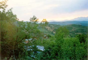 Moroxoz