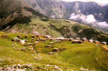 Napurnev