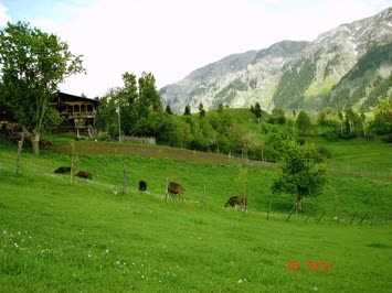 Eminağaoğlu Köyevlerinden / Aşağı Süles