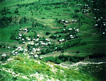 Şener Altun Galeri