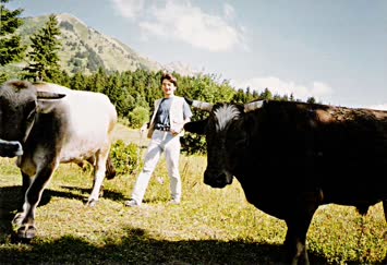 Helim Kaya