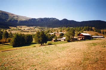 Şavket