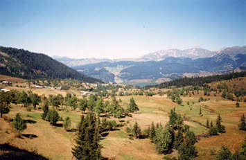 Şavket