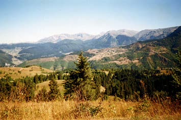 Şavket
