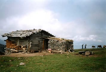 Şavket