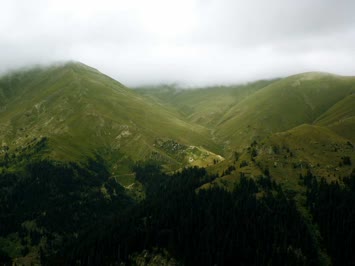 Yayla / Temmuz 2005