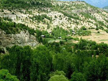 seslavur