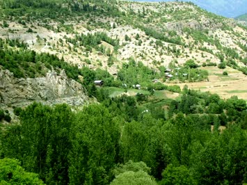 Abdulkerim Kör