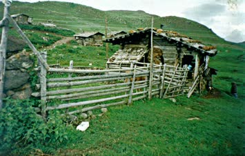 Yayla