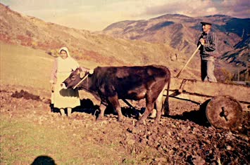 MÜLEZiM AMCA BiNNiYE BiBi