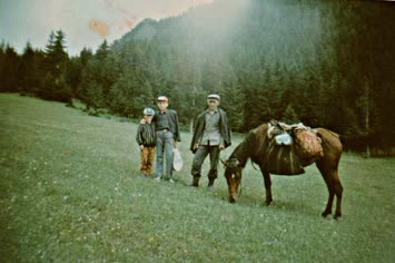 Delikanlilar
