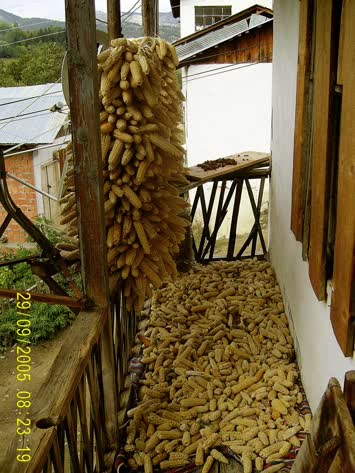 Kötetris