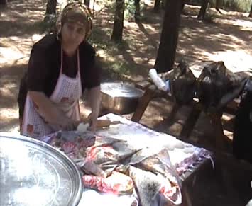 Baş Şaşorti / Harfanayı Harfana Yapan Annemiz