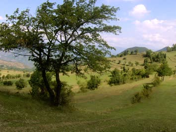 kapan