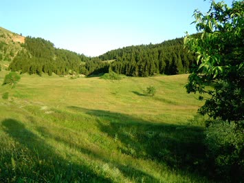 Satapliya - Koglar