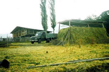 kemal ustanın doçu 67 model mersedes