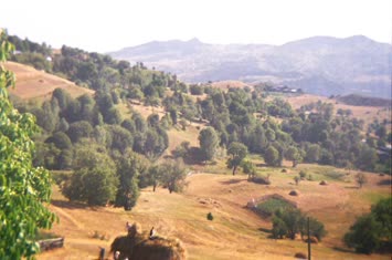 Kediyel[Köşkiden Bakis]