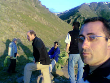yayla turumuz
