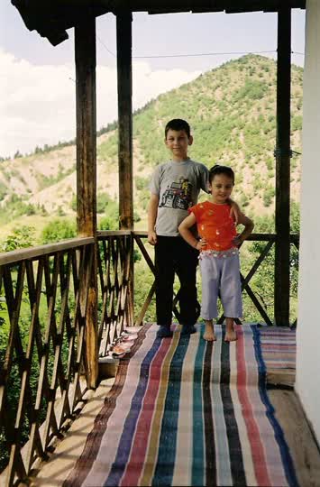 2006