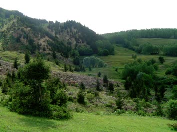 Satapliya