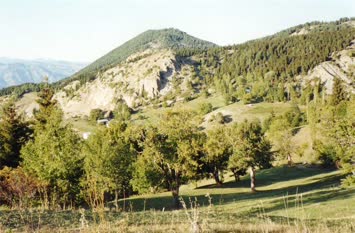 Satapliya