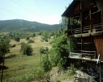 Zirzirat