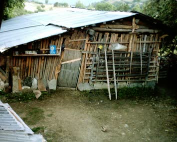 karapan