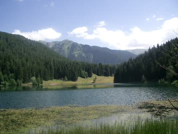 Meşeli-Agara