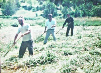 Savaş Köyü