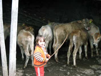 Mehmet Emin Yokuş
