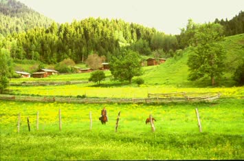 Selçuk Köybaşı
