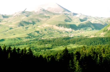 Goroğiyetten Kayaoğulları Kışlaları, Çayırları Ve Cevizli, Kayadibi Yaylaları