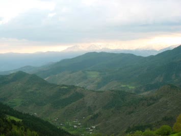Cinal