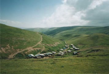 Selçuk Kara