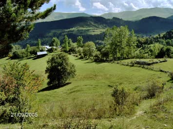 Halis Subaşı