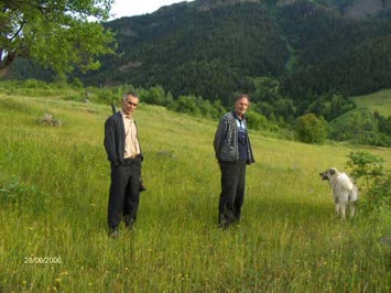 kabahalilde ayi takibi