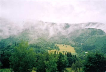 mağarabico
