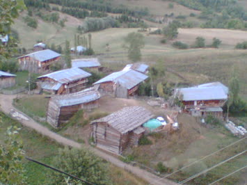 Cedligil