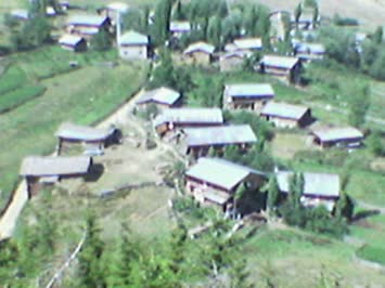 Cedligil
