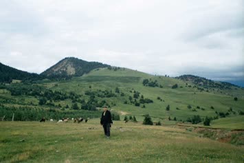 Selim cavuş fidanlikta