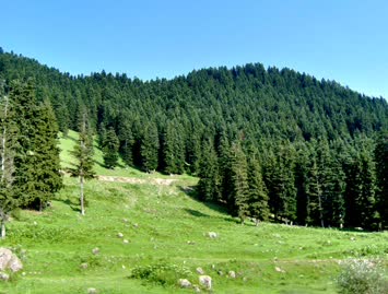Saxaradan Görünüm / 22.07.2006