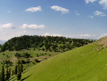 Saxara / Şavşat Yolu / 22.07.2006