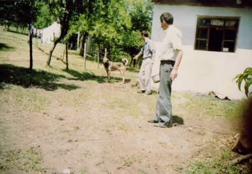 Savayilli Cahit Emmi ve iti - 1991