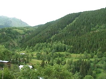 Lecko