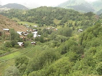 Yumaktan görünüş