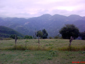 Savaş Köyü